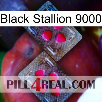 Black Stallion 9000 15
